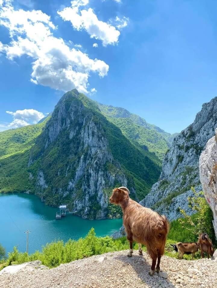 Day tour to Bovilla Lake: (Private Tour) image 1